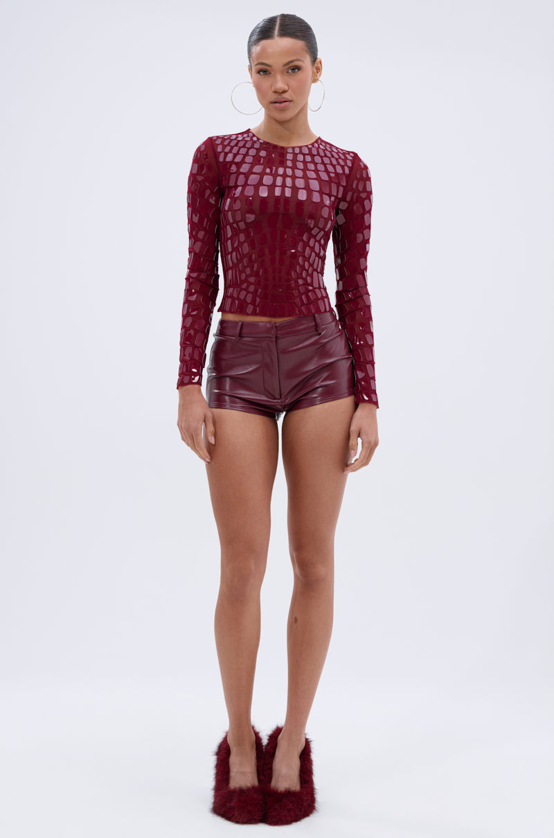 CAN SEE RIGHT THROUGH YOU MESH LONG SLEEVE TOP