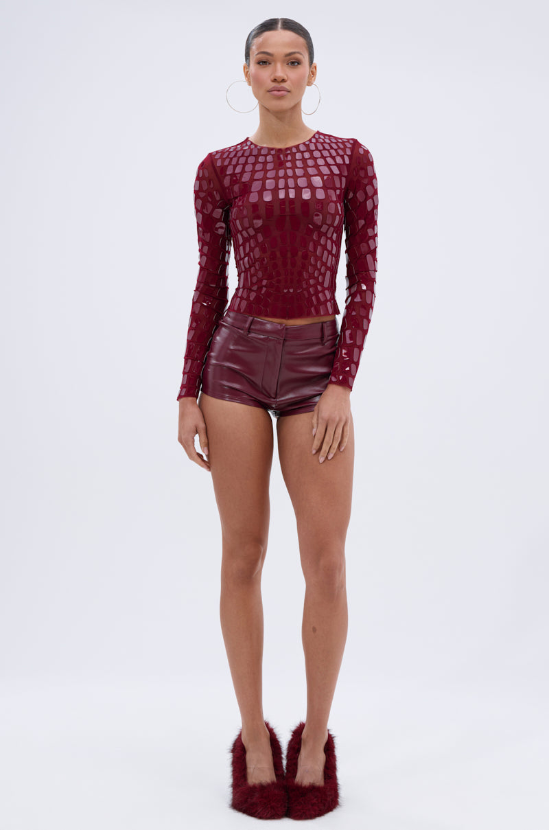 CAN SEE RIGHT THROUGH YOU MESH LONG SLEEVE TOP